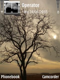 Lonely Tree
