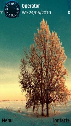 Lonely Tree