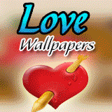 Attractive Valentine Wallpapers