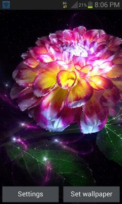Magic Flower Light LWP