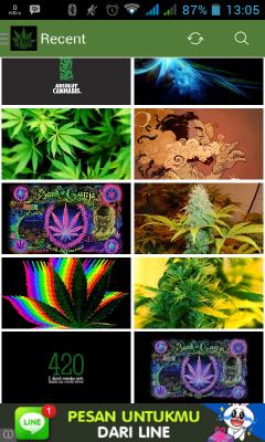 Marijuana New Wallpaper