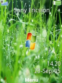 Microsoft Windows Os