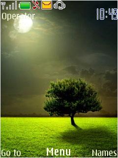 Moon Light