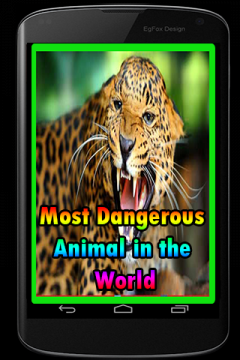 Most Dangerous Animal in the World