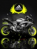 moto