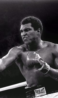 Muhammad Ali Live Wallpaper 2