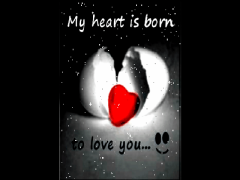 my heart is born to love you