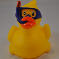 My Rubber Duck