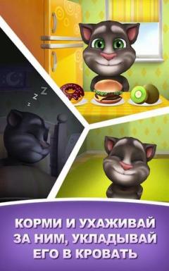 My Talking Tom - next series of games My Talking Tom Cat.