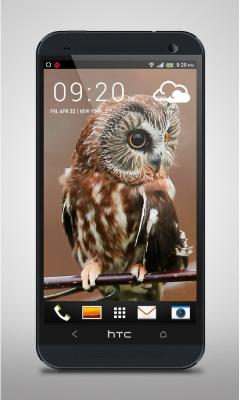Mysterious Owl Live Wallpaper