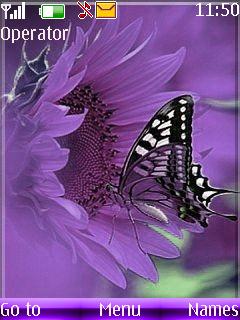 Nature Attraction