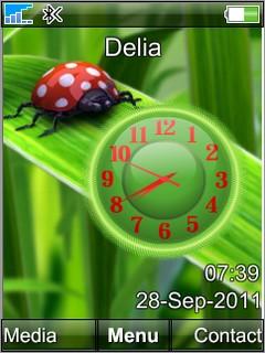 Nature Clock