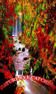 Nature Eye Catching