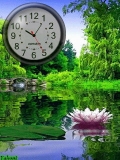 Nature forest clock