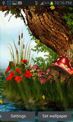 Nature Mushroom Live Wallpaper