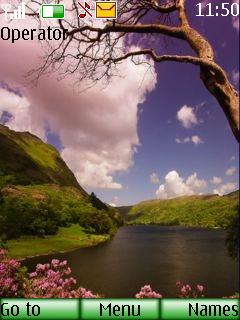 Nature View