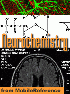 Neurochemistry Quick Study Guide from MobileReference. FREE Neurocellular Anatomy chapter in trial