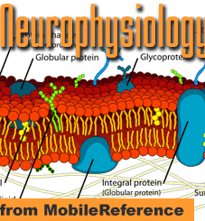 Neurophysiology Quick Study Guide from MobileReference. FREE Neurocellular Anatomy chapter in trial