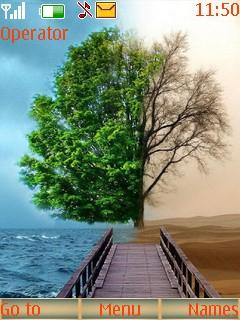 Nice Autumn 2