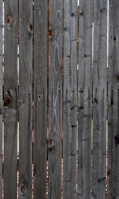 Nice Fence texture Live WP