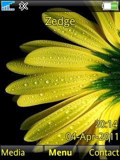 Nice Flower