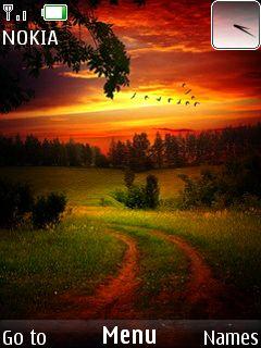 Night Nature View