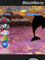 Dolphin Nights for BlackBerry 8800