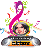 Nil Karaibrahimgil Hit Box