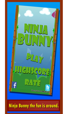 Ninja Bunny