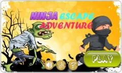 Ninja Escape Game