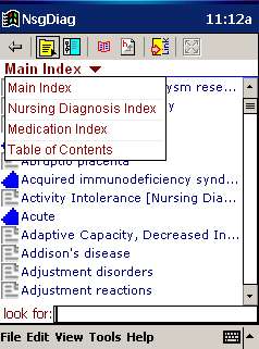 Handbook of Nursing Diagnosis (NsgDiag)