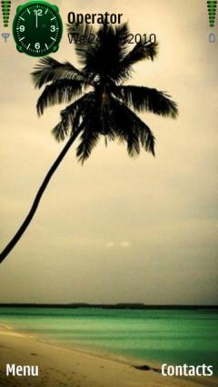 Palm Tree