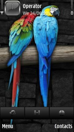 Parrots