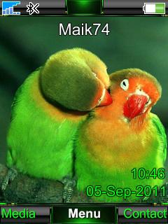 Parrots