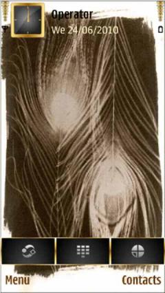 Peacoc Feather