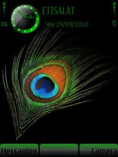 Peacock Feather