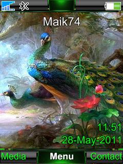 Peacocks