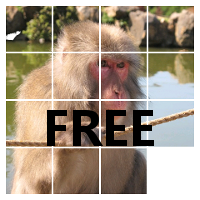 PhotoPuzzle FREE