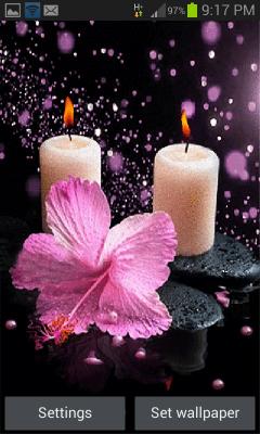 Pink Flower Candle LWP
