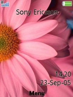 Pink Flower
