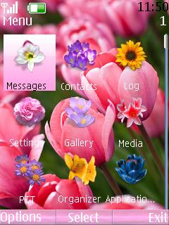 Pink Tulips Clock