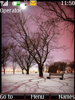 Pink Winter