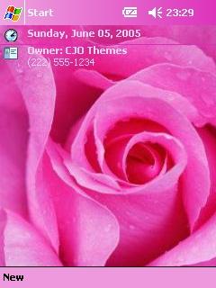 Beautiful Flowers Themepack