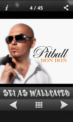 Pit Bull (Rapper) Wallpapers