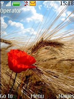 Poppy By Davin
