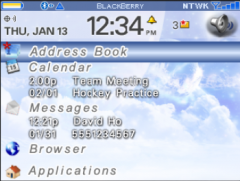 Blackberry Ultimate Today Theme