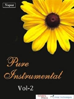 Pure Instrumental Vol 2