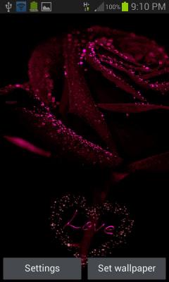 Purple Rose Love LWP
