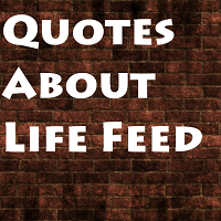 Quotes About Life Feed