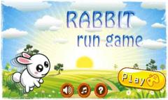 Rabbit Run Game